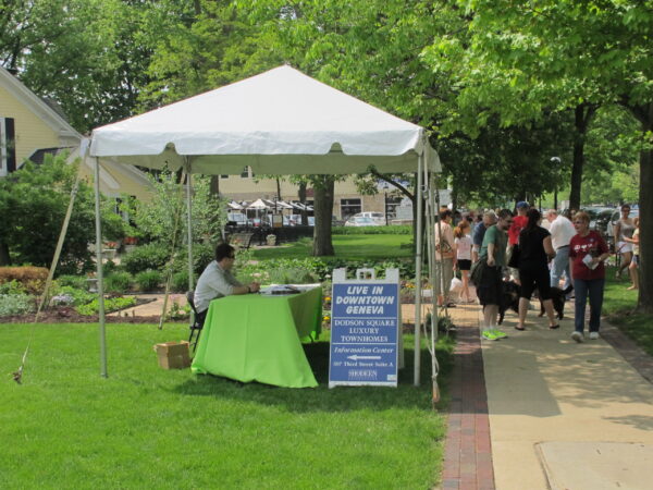 10' x 10' Marquee or Frame Tent