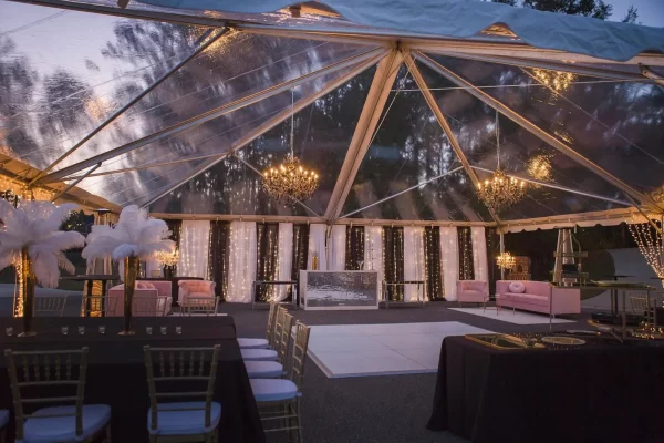 40' x 40' Clear Frame Tent
